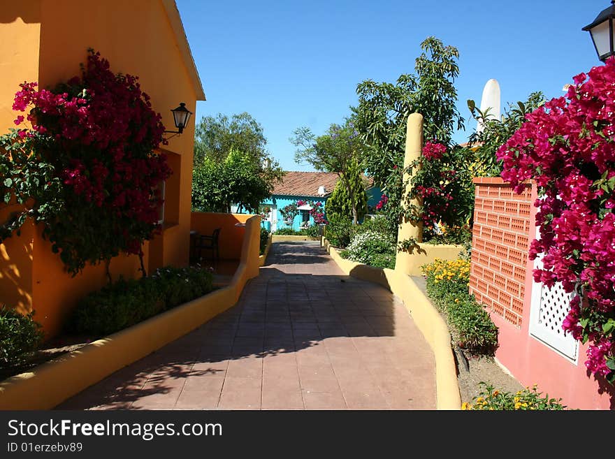 Colorful houses by the sea