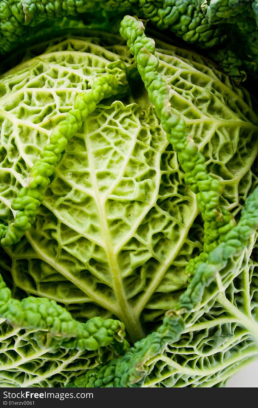 Detail of cabbage flower