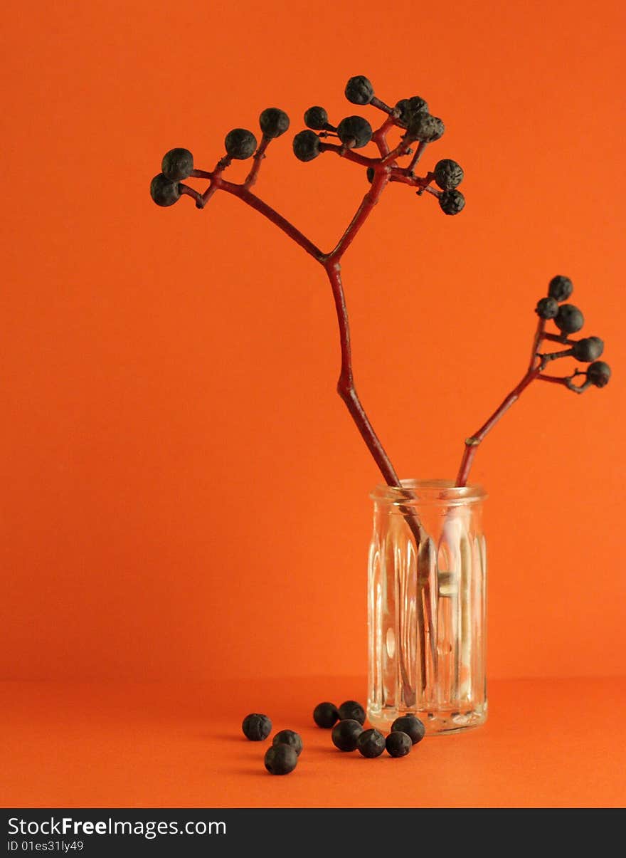 Berries on an orange background