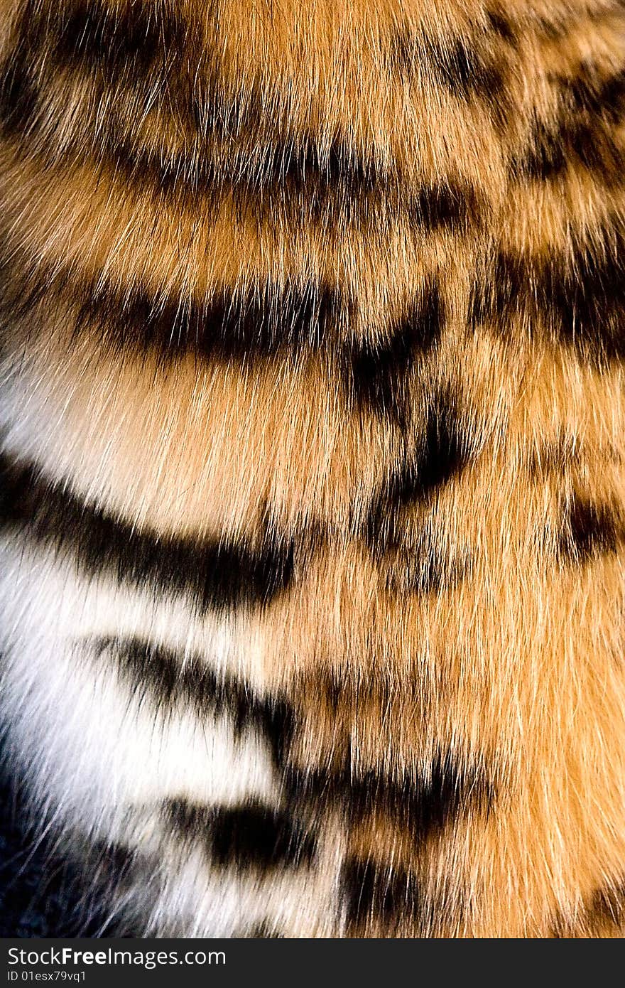 The fragment of leopard fur coat