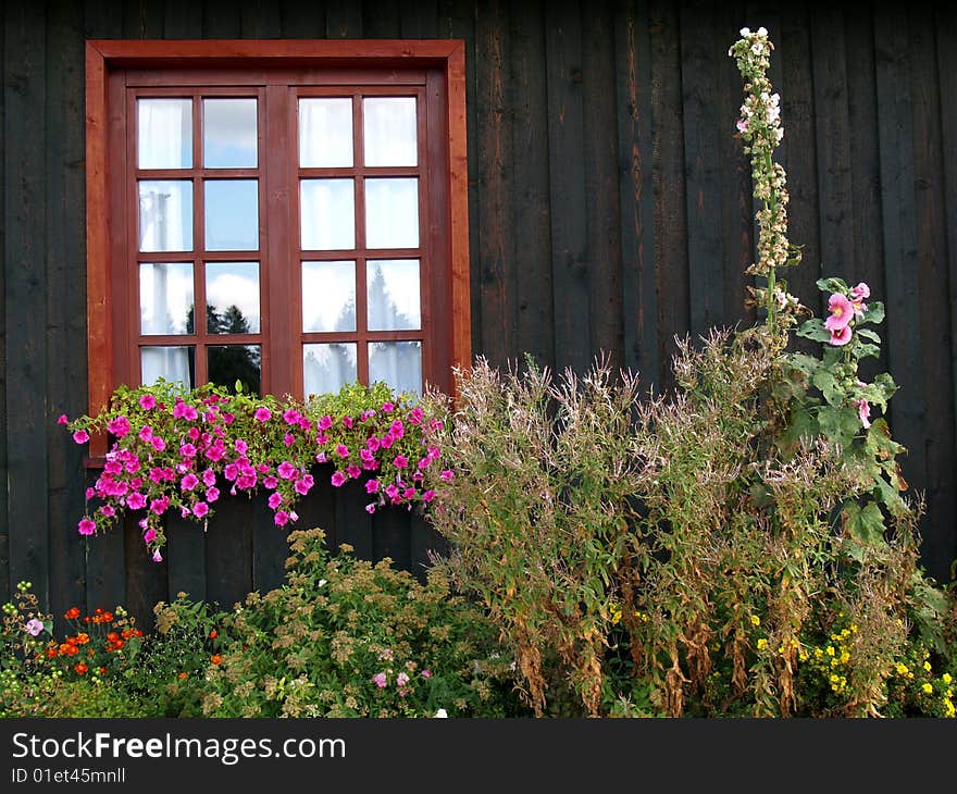 Old house and flowers in south Poland - Beskidy.