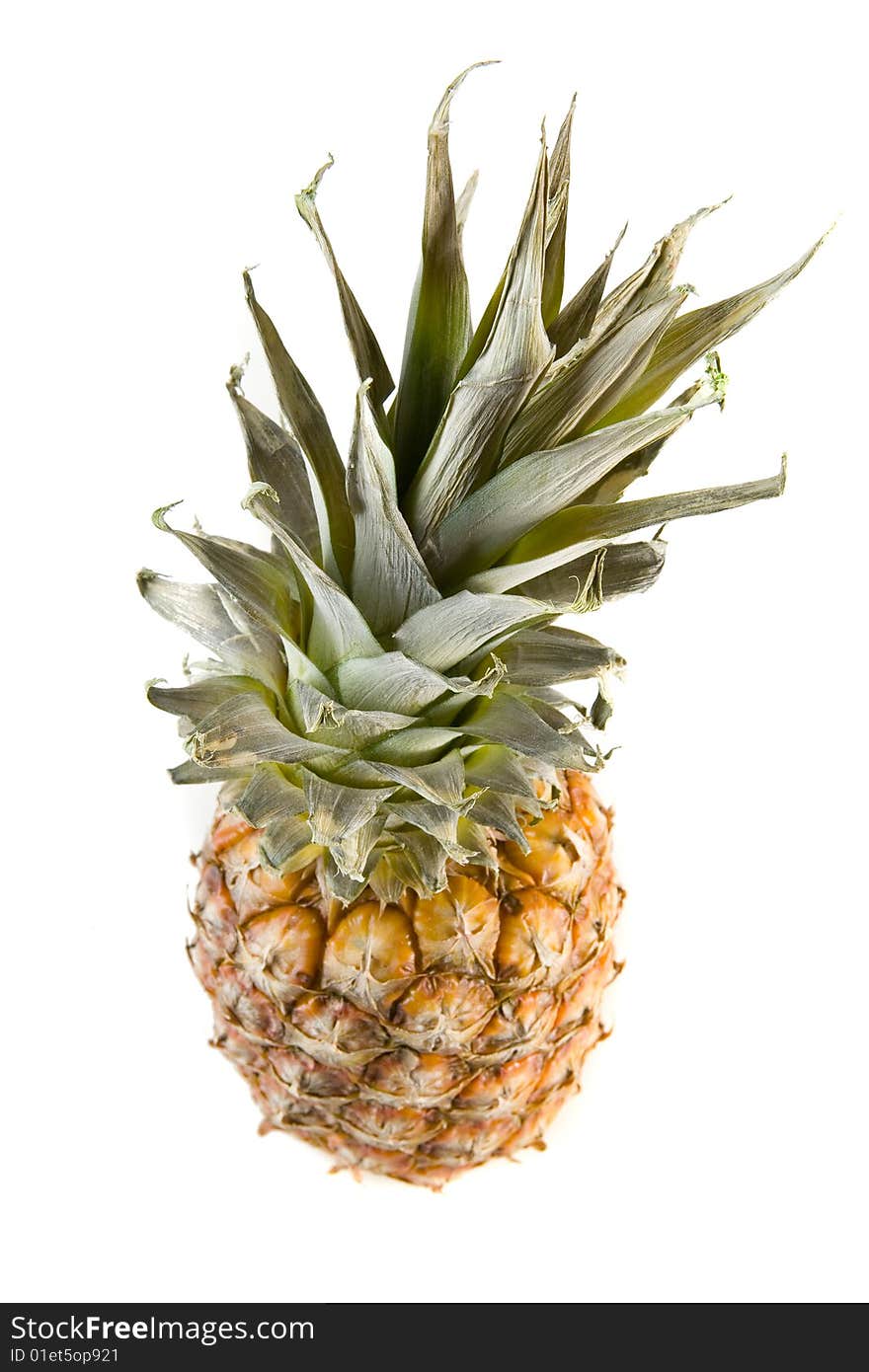 Big pineapple on white ground