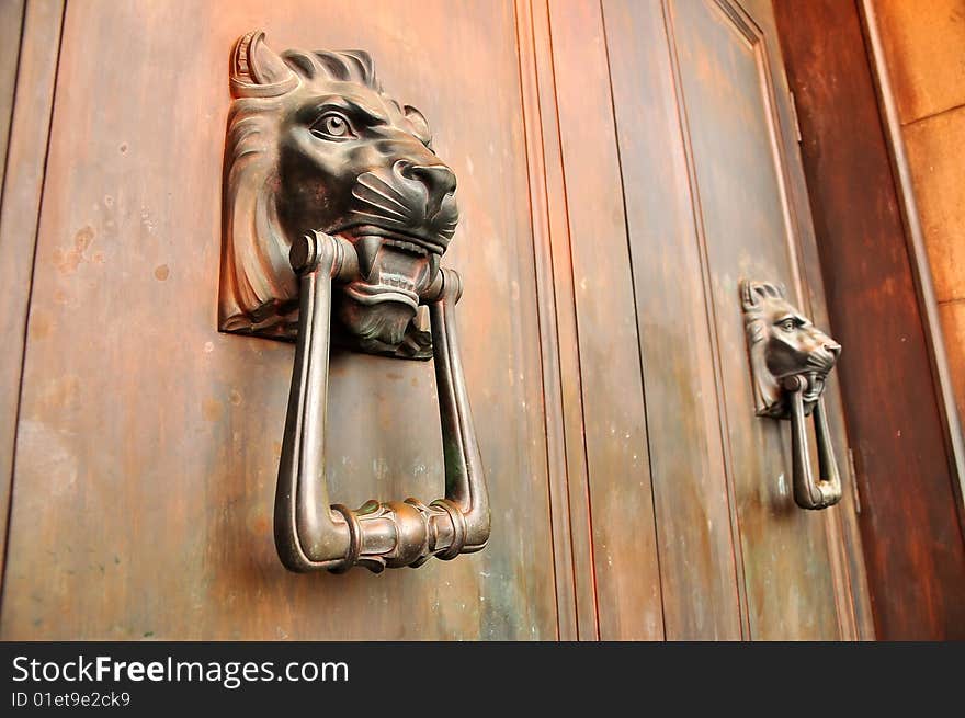 Lion Head Door Handles