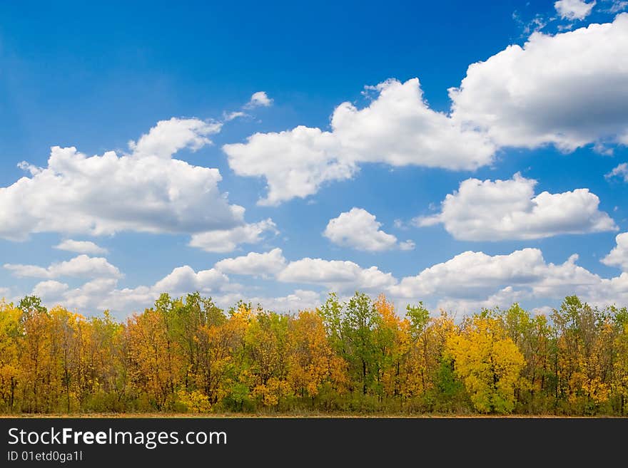 Autumn forest and blue sky