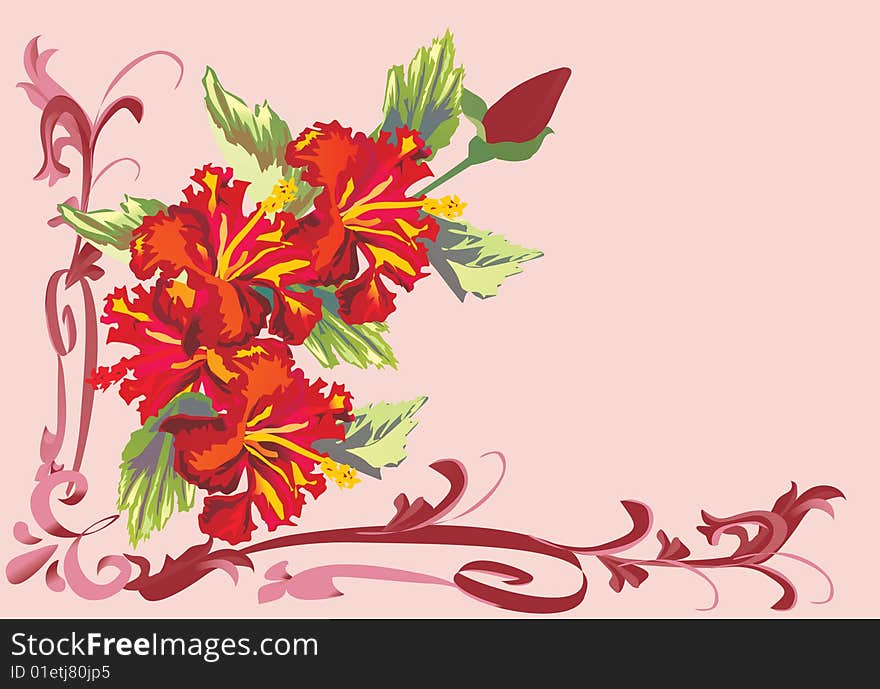 Illustration with red flowers on pink. Illustration with red flowers on pink