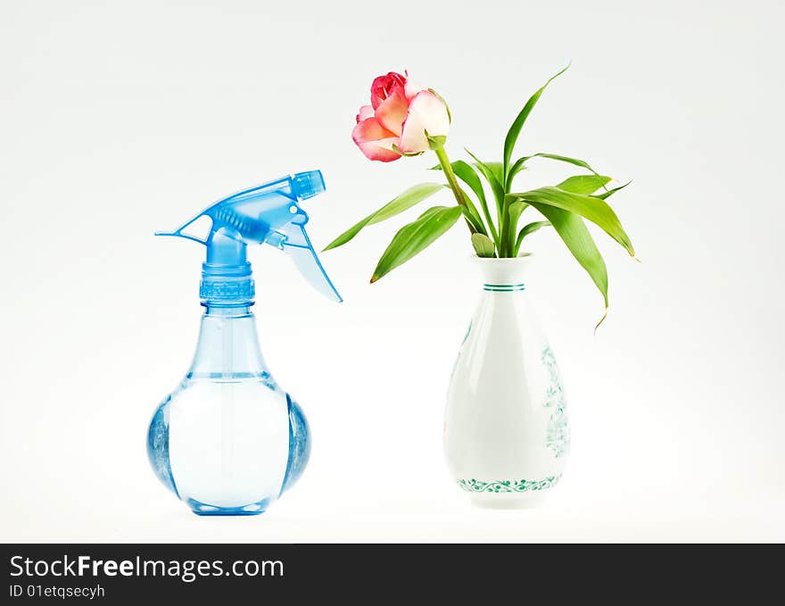 The blue watering-can and flower vase. The blue watering-can and flower vase.