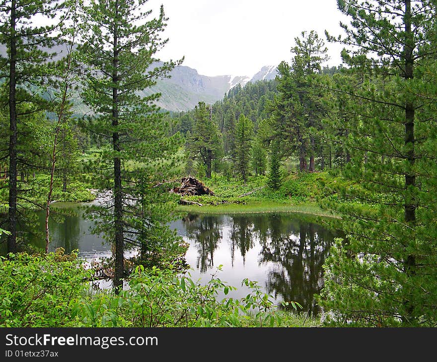 The nature of Altai, lake