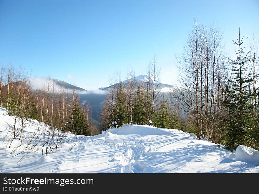 Carpathian Mountains. View from Moloda mountain,  Ukraine. Carpathian Mountains. View from Moloda mountain,  Ukraine