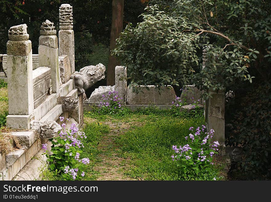 Ancient track, with violet flower