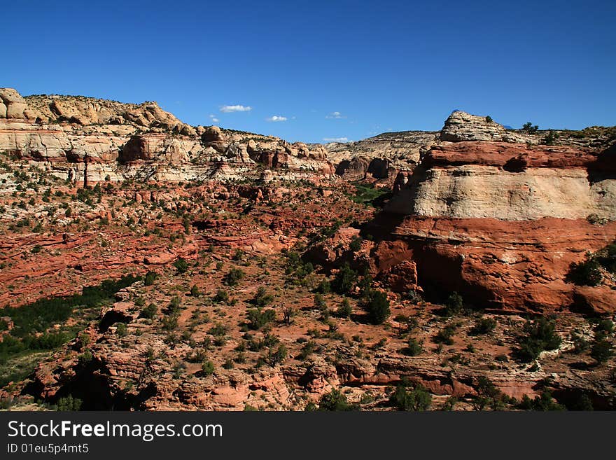 Capitol Reef National Park