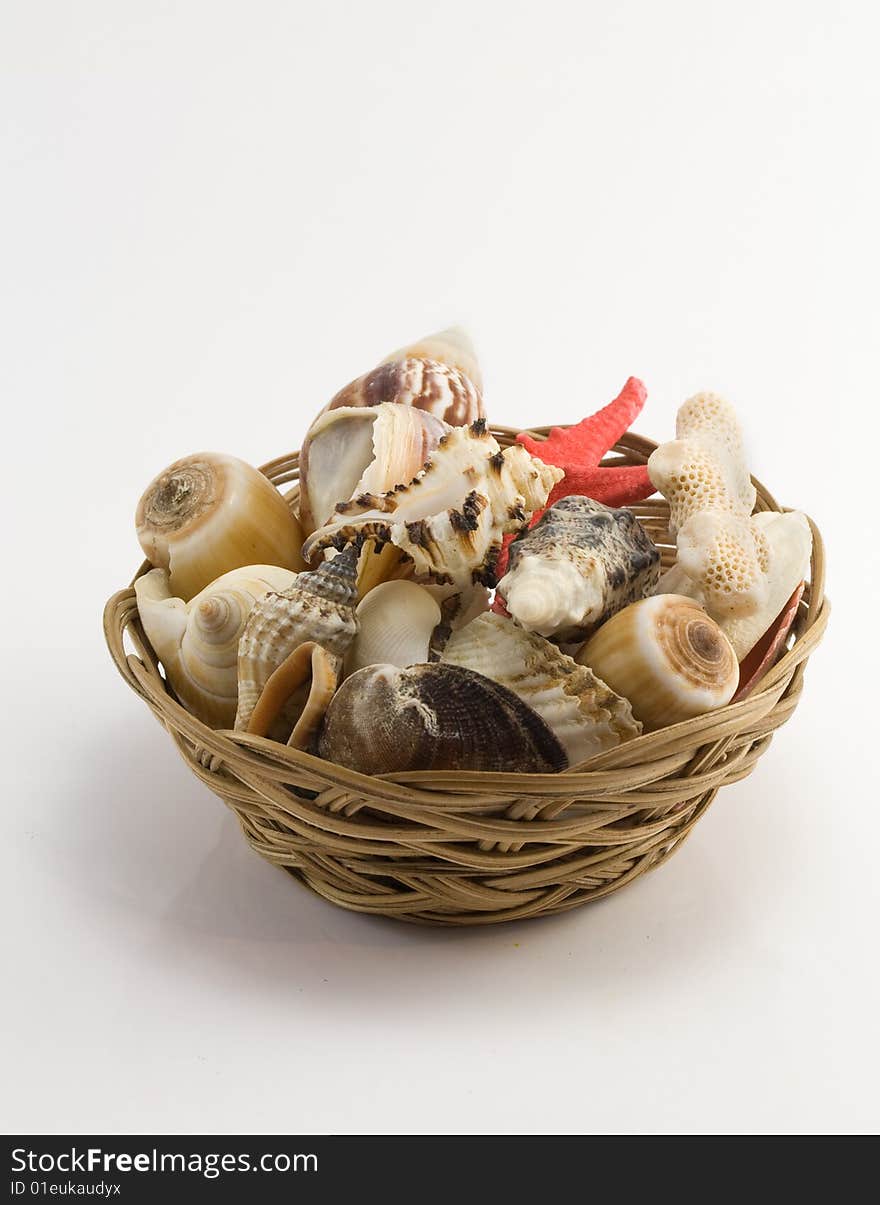 Cockleshells are in a small basket