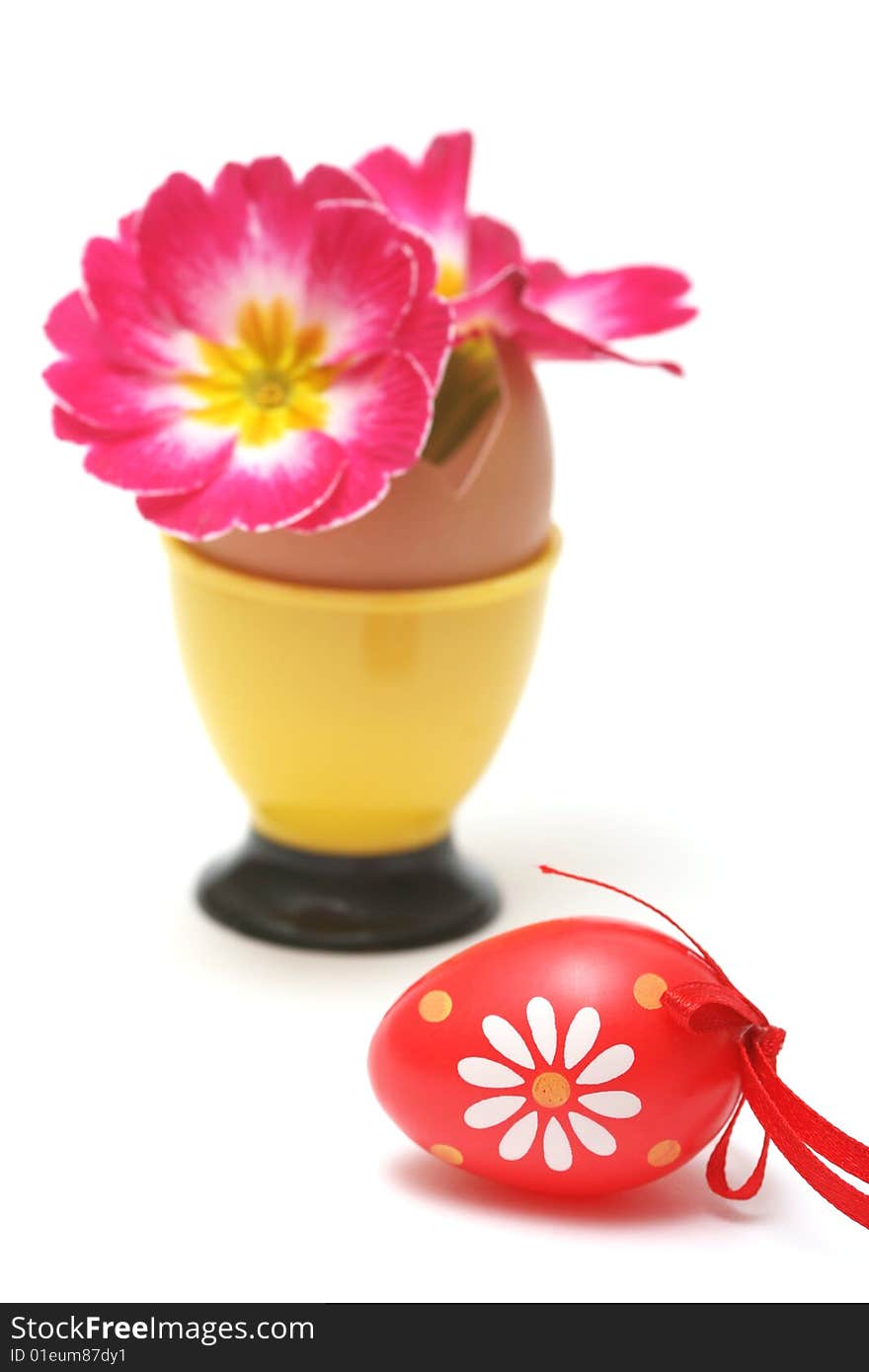 Easter egg with easter flowers on white.