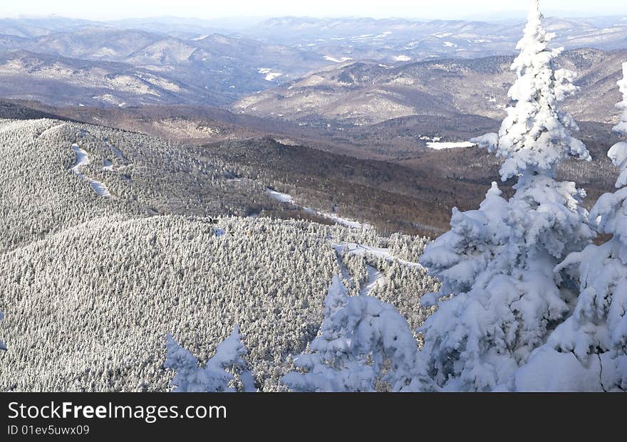 Landscape in the winter