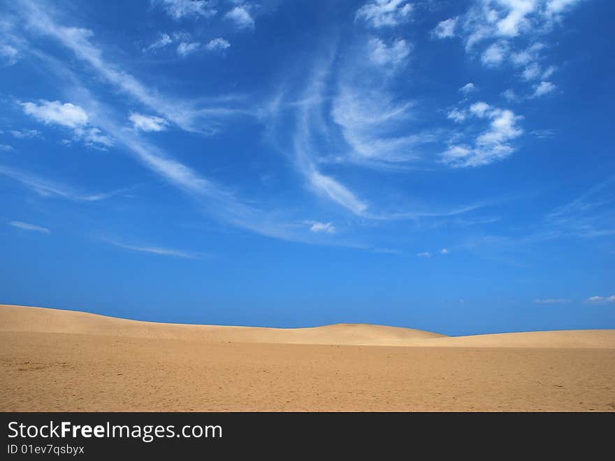 Vast desert