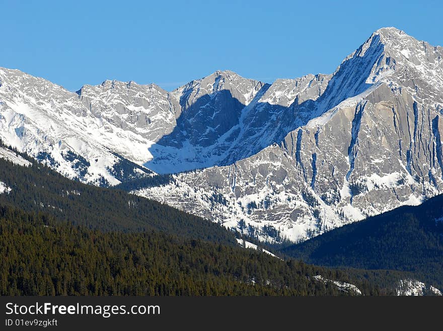 Mountain and meadow