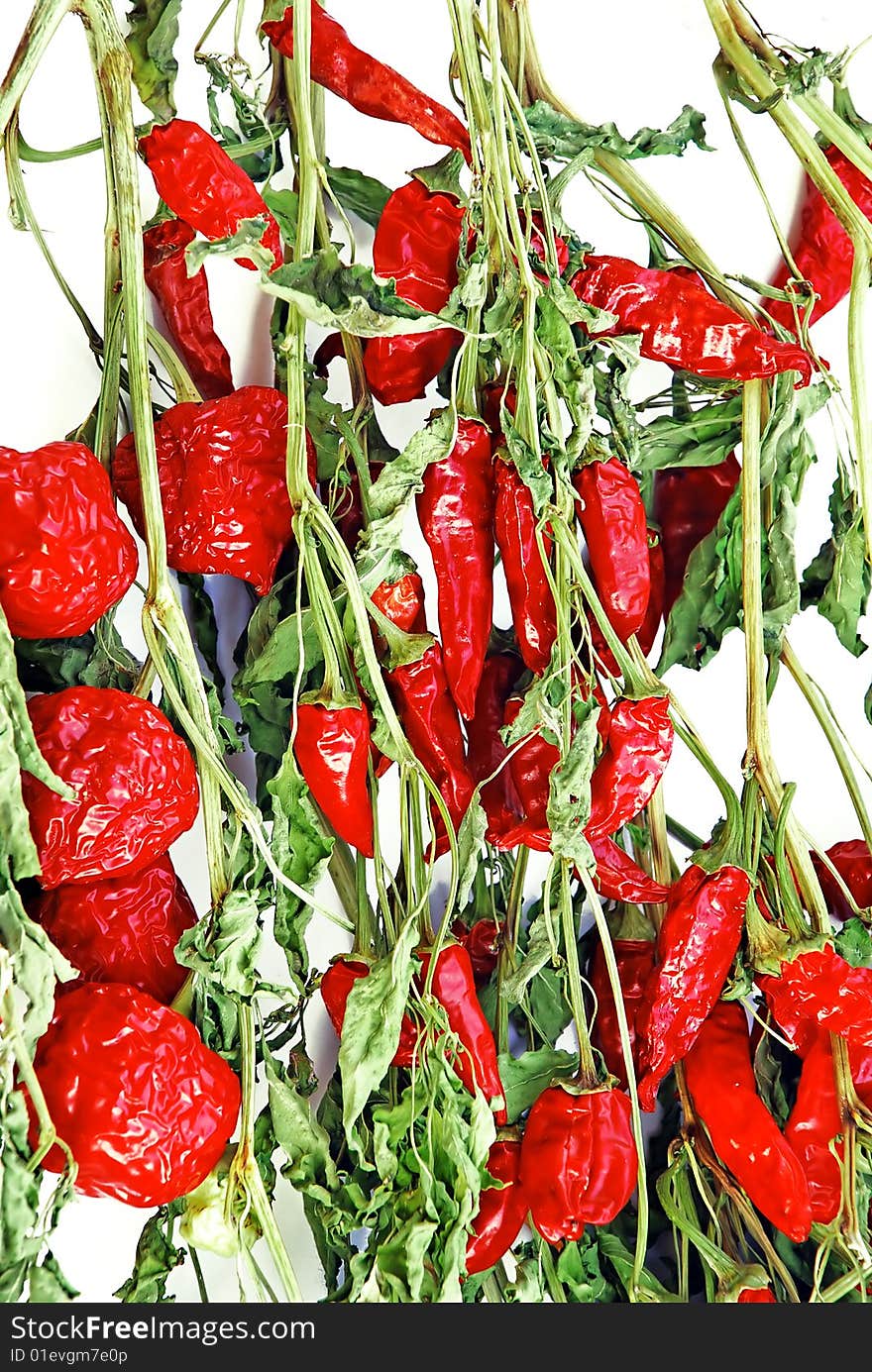 Dry red hot chilly peppers plants over white. Dry red hot chilly peppers plants over white