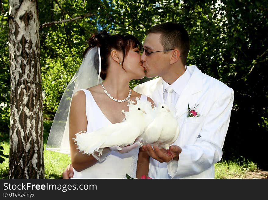 Photo of the groom and bride kissing ich other