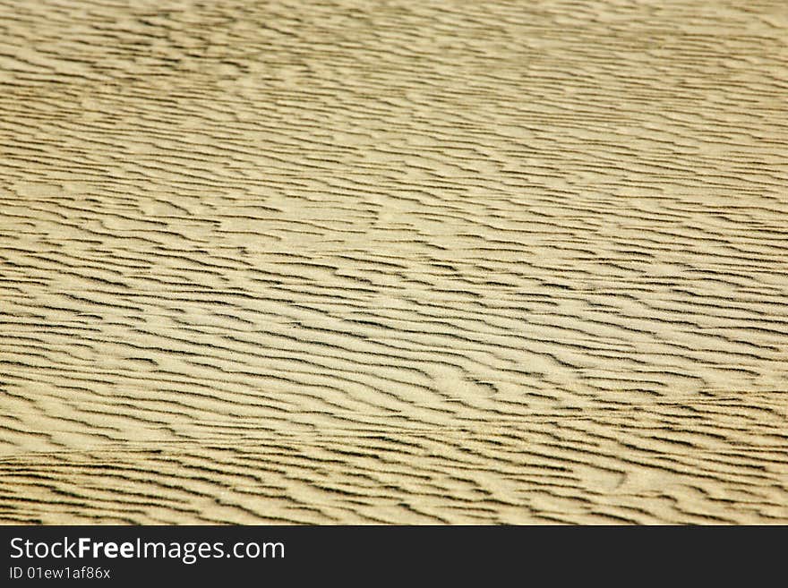 Ripples on sand, a dune at the Baltic coast. Ripples on sand, a dune at the Baltic coast