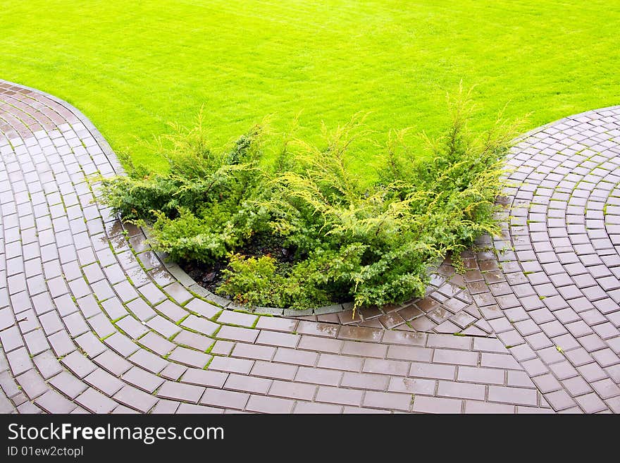 Garden stone path with grass growing up between the stones