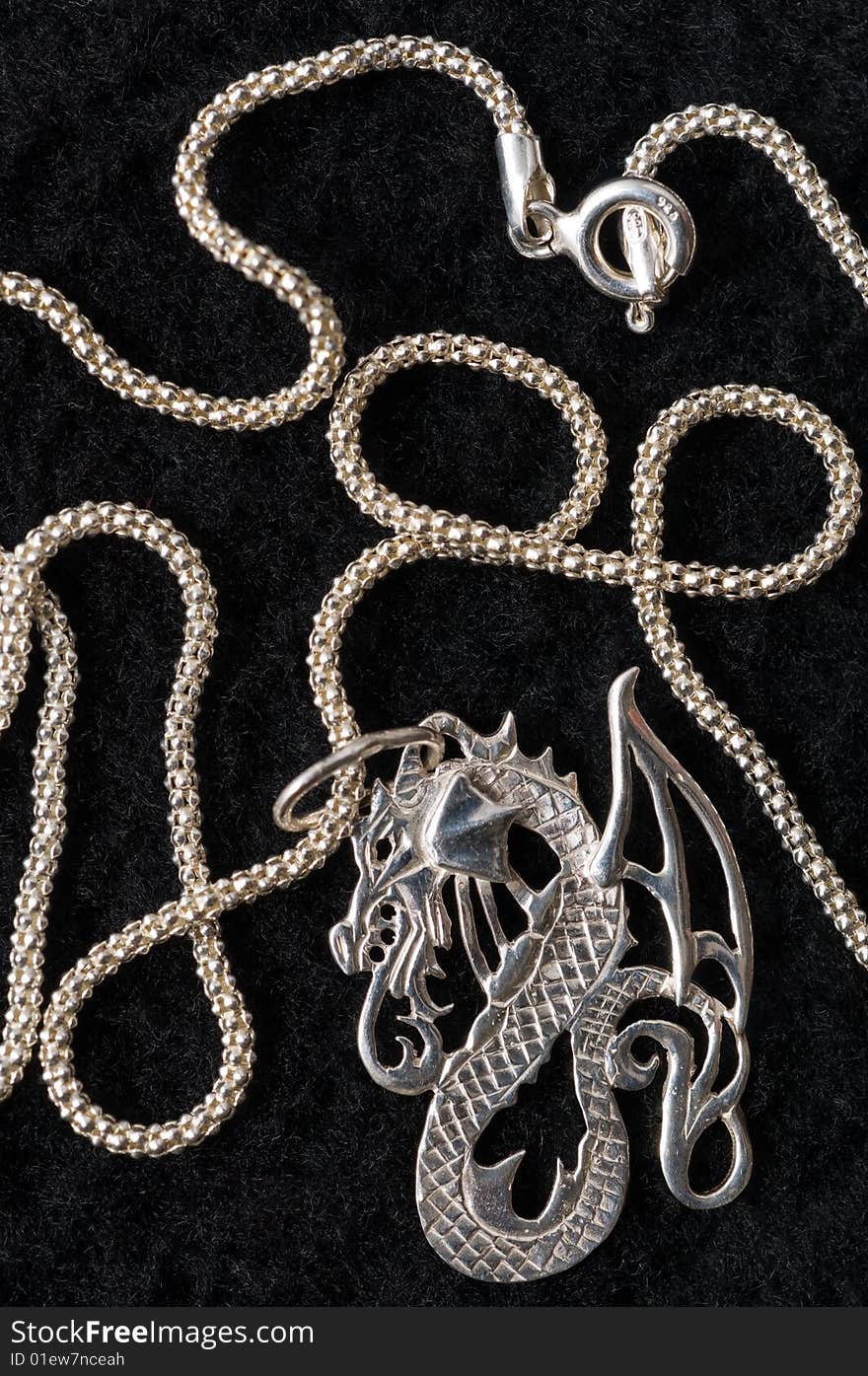 Dragon - a silver necklace.