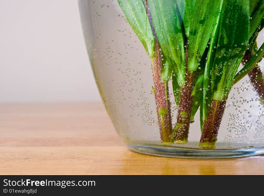 Fresh flower stems in vase.