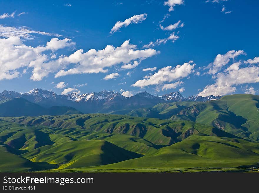 A plateau grassland in Xinjiang - a northwest province in China. A plateau grassland in Xinjiang - a northwest province in China