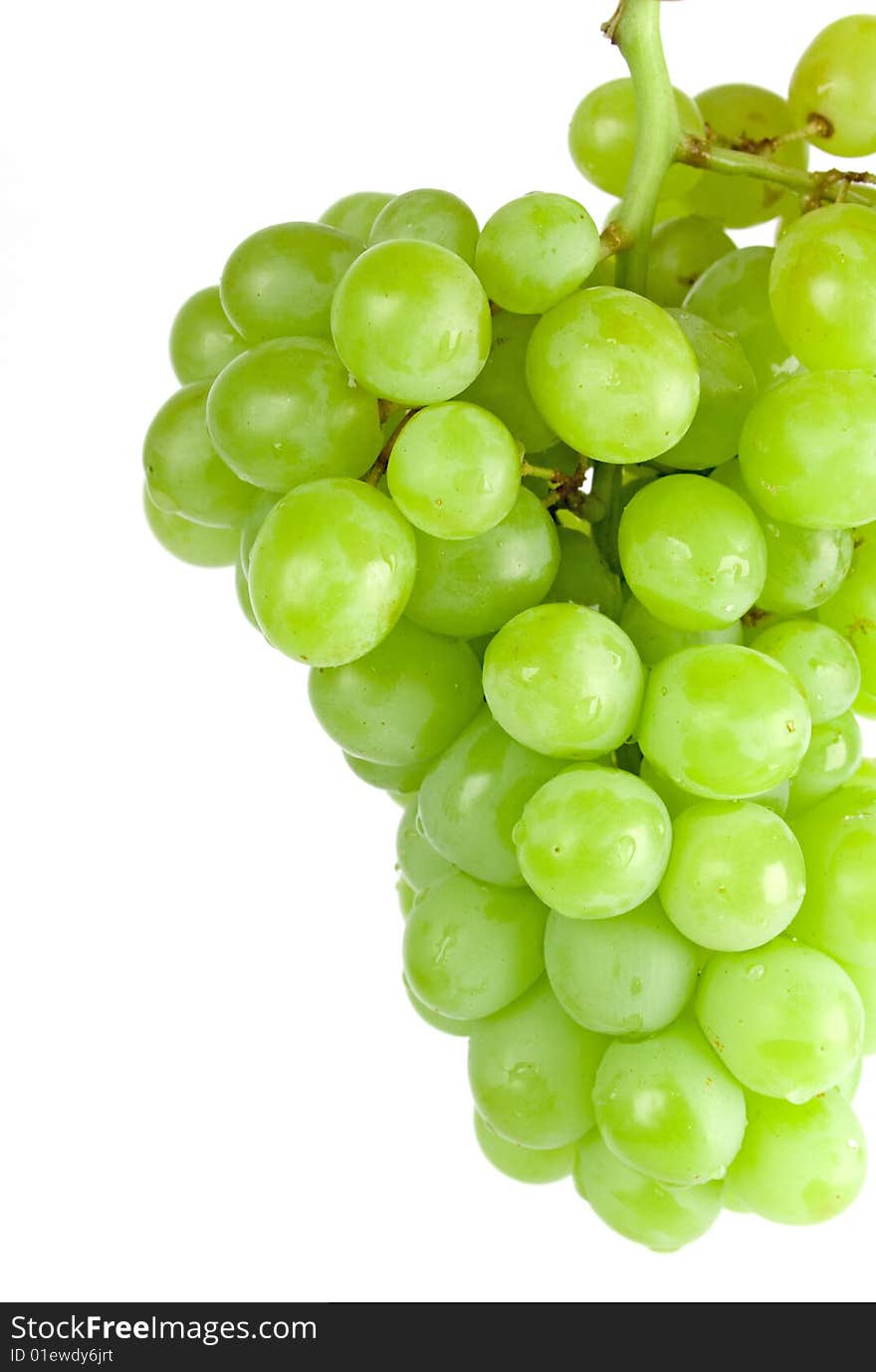 Green grapes closeup