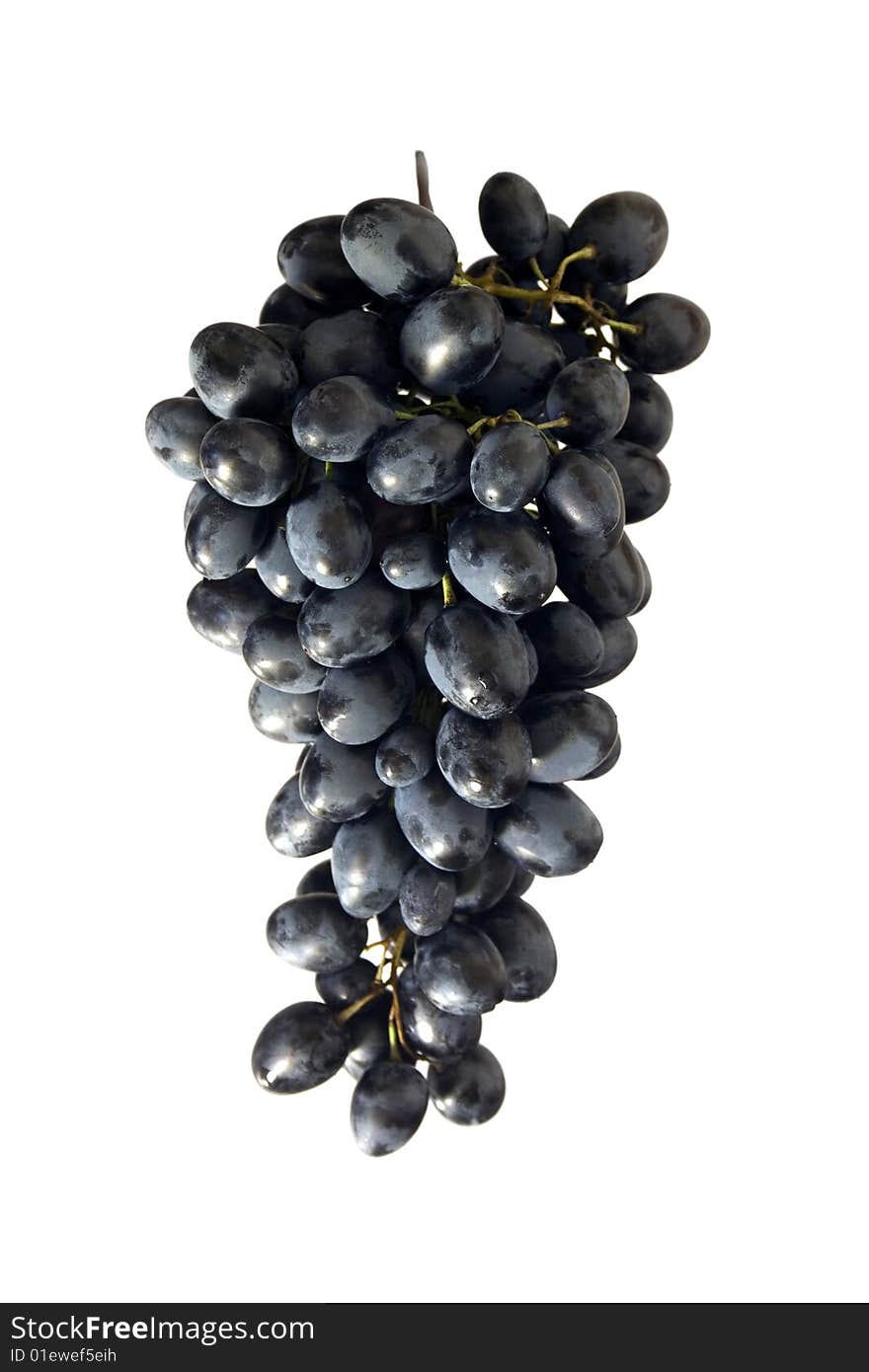 Cluster Of Blue Grape