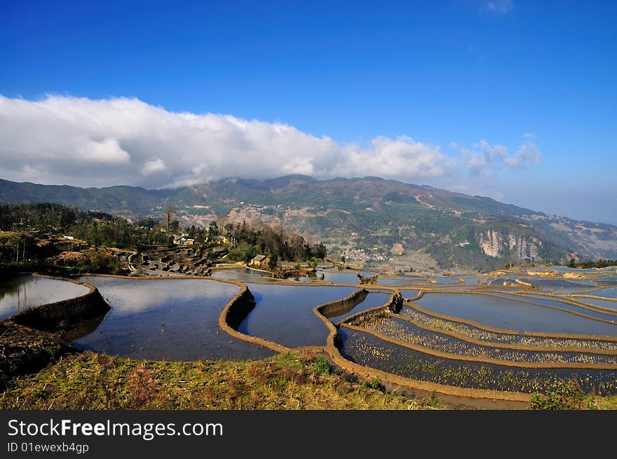 Rice terrace in Yuan Yang, China. Rice terrace in Yuan Yang, China