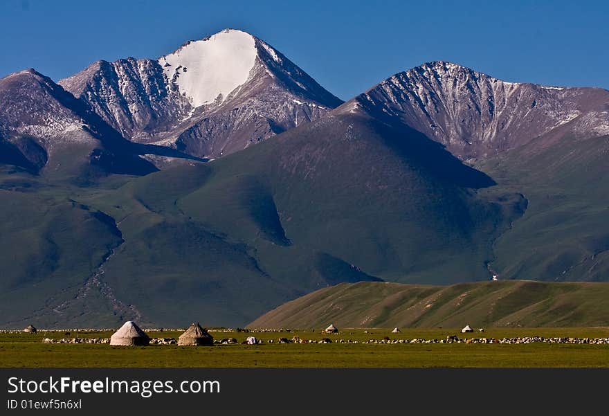 Nomad family life on the grassland in front of snow mountain. This is a typcial view in Xinjiang, a province in the northwest of china. Beautiful mountain, fresh air, relax life style and many sheep. what a wonderful life, like in the heaven