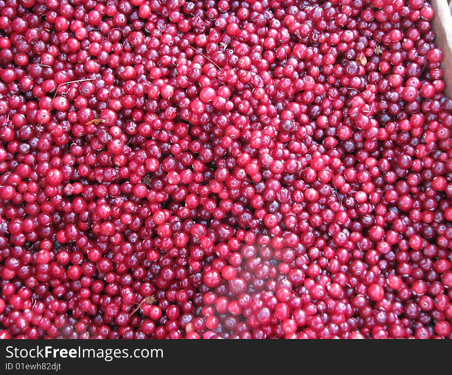 Cranberries