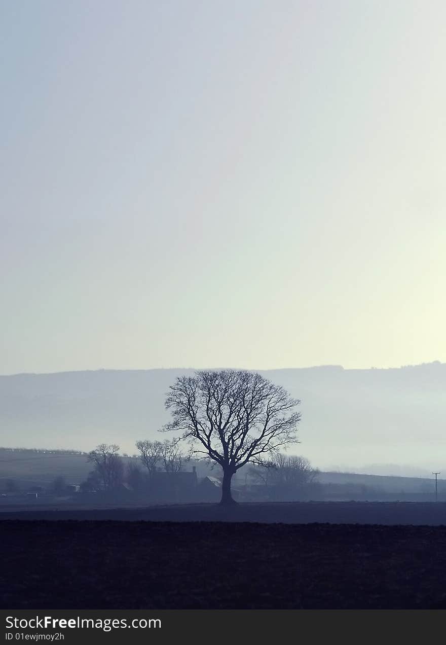 Misty early morning winter landscape. Misty early morning winter landscape