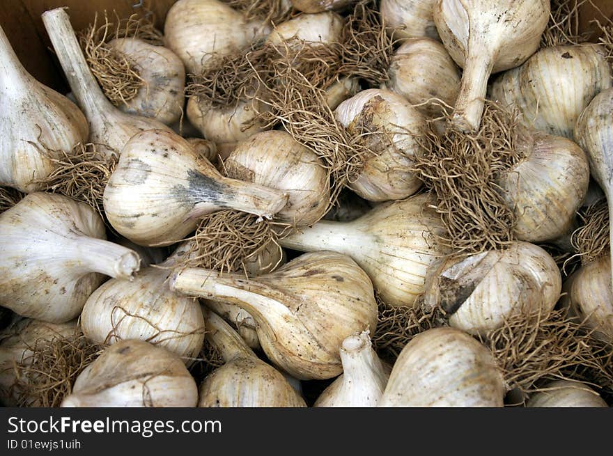 Garlic at a farm stand