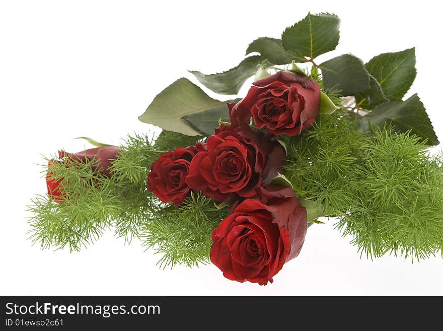 Red roses against white background