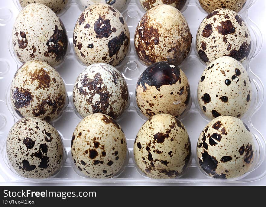 Quail eggs in the pack