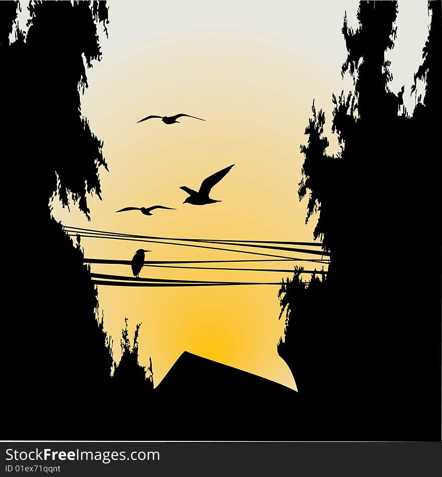 Silhouette birds and tree, background vector