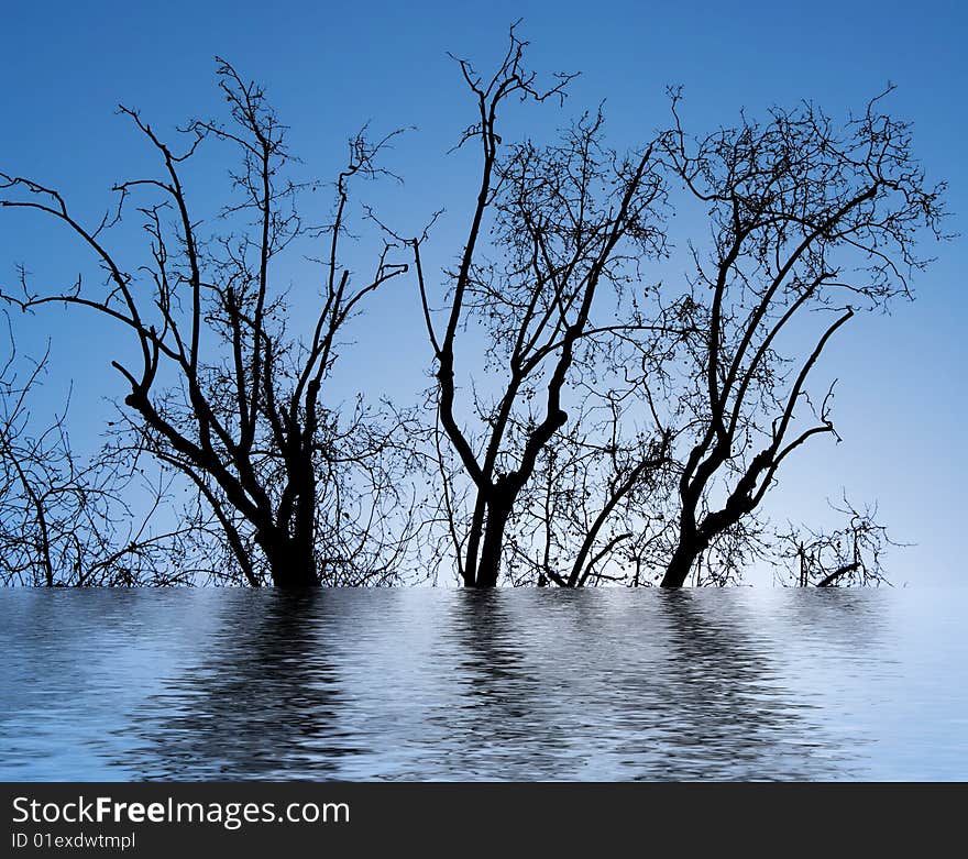 Trees in winter against the blue sky. Trees in winter against the blue sky