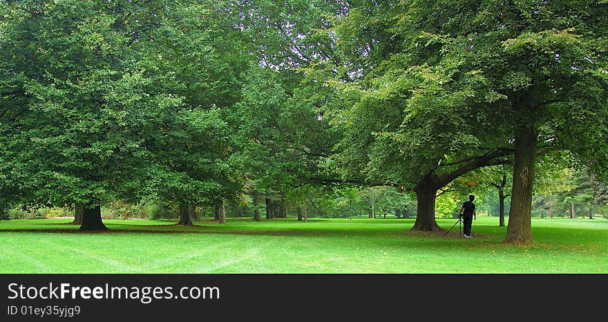 An image of a photographer in a distance scouting for a photography shoot in a beautiful lush green park. An image of a photographer in a distance scouting for a photography shoot in a beautiful lush green park.