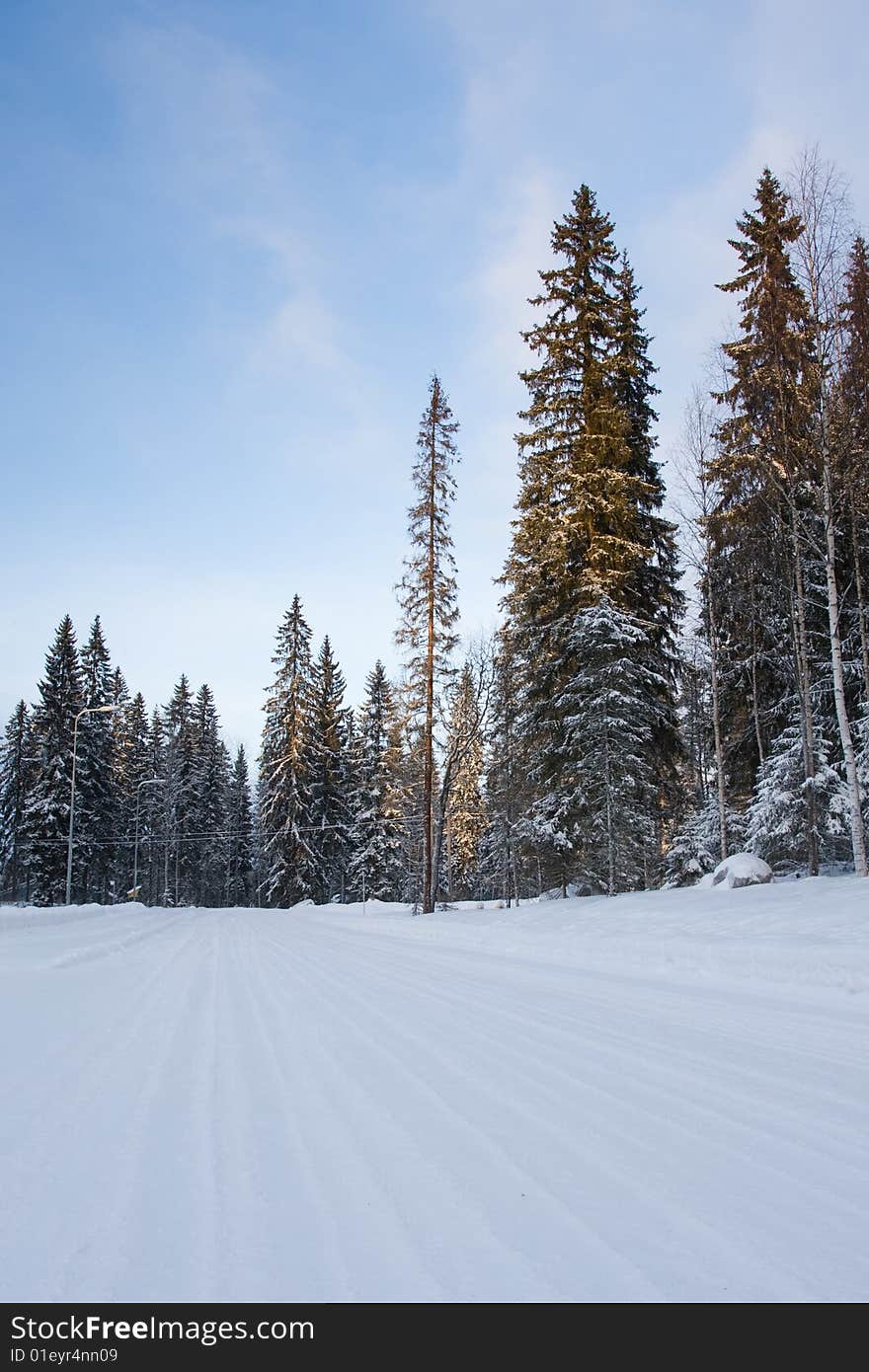 Winter road surrounded by fir trees. Finland, January 2009