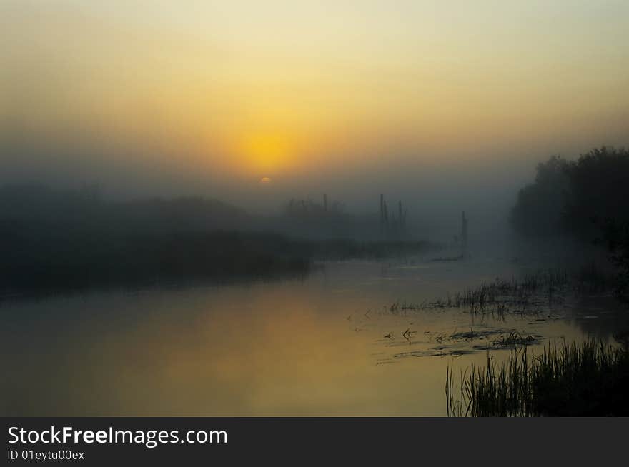 Fog on lake