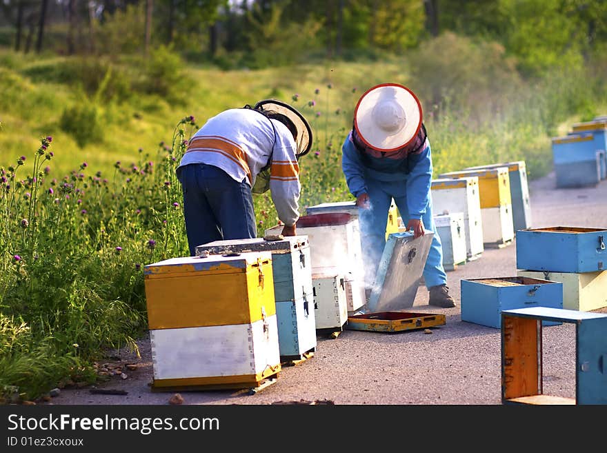 Beekeepers