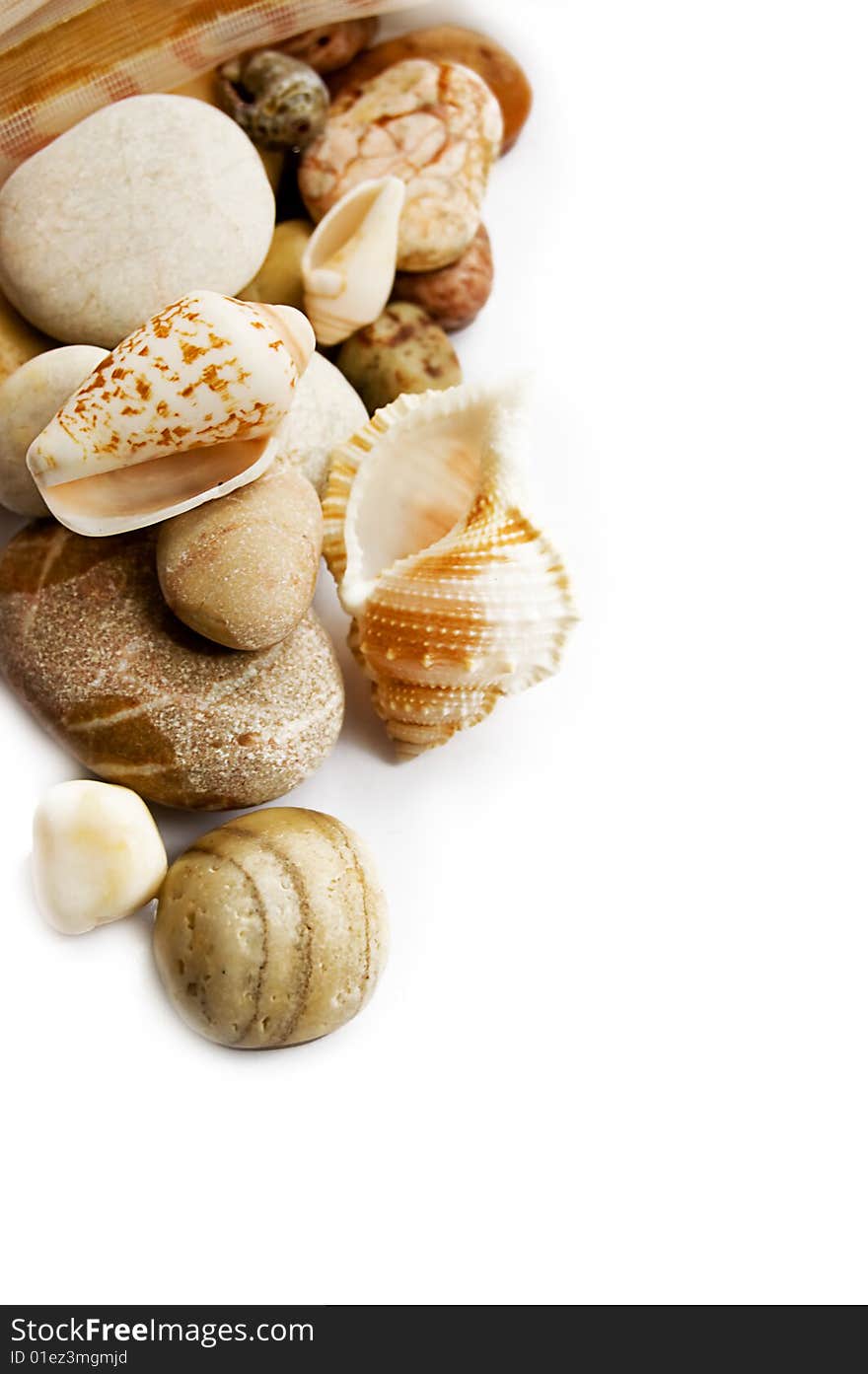 Assorted sea shells and stones over white with copy space