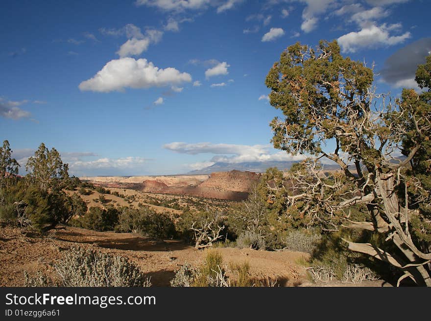 On top of the Burr Trail a few miles before Boulder you see a beautifull Capitol Reef. On top of the Burr Trail a few miles before Boulder you see a beautifull Capitol Reef.