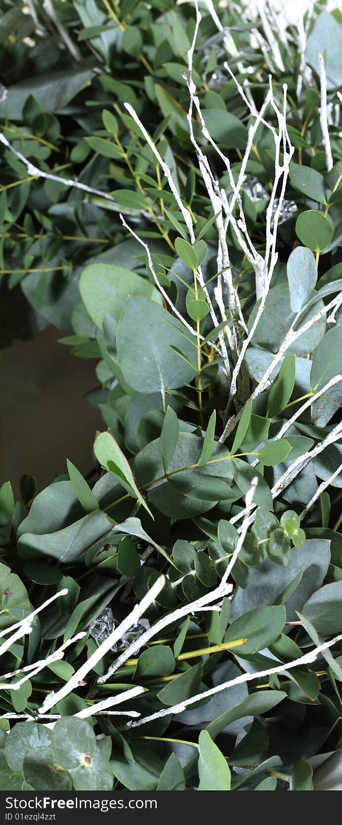 A modern Christmas wreath made from eucalyptus. A modern Christmas wreath made from eucalyptus