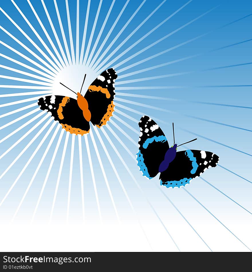 Two butterflies in sky