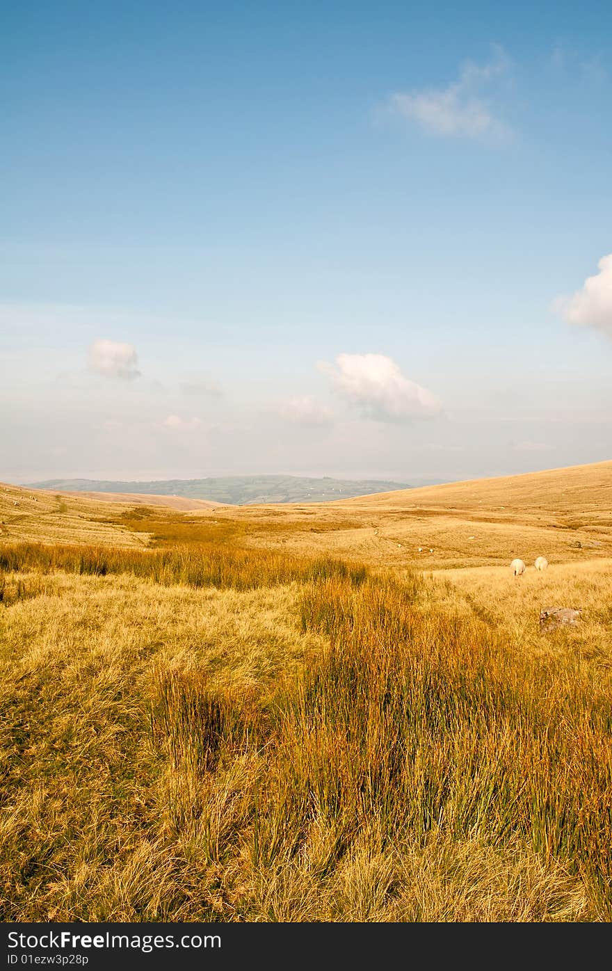 The Brecon Beacons National Park in Wales, UK.