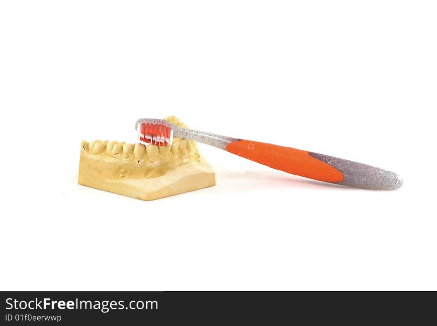 Brushing the teeth on a white background. Brushing the teeth on a white background.