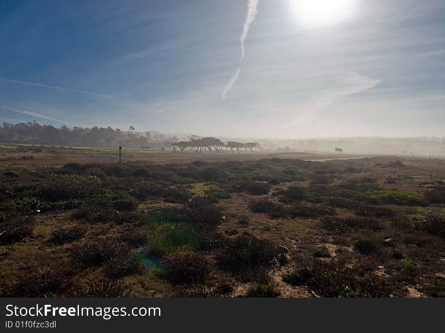 A field at Pebble Beach covered with fog. A field at Pebble Beach covered with fog