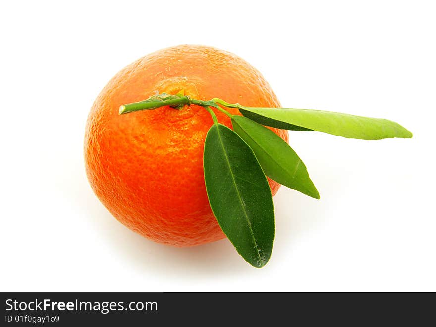 Tangerine isolated on a white background