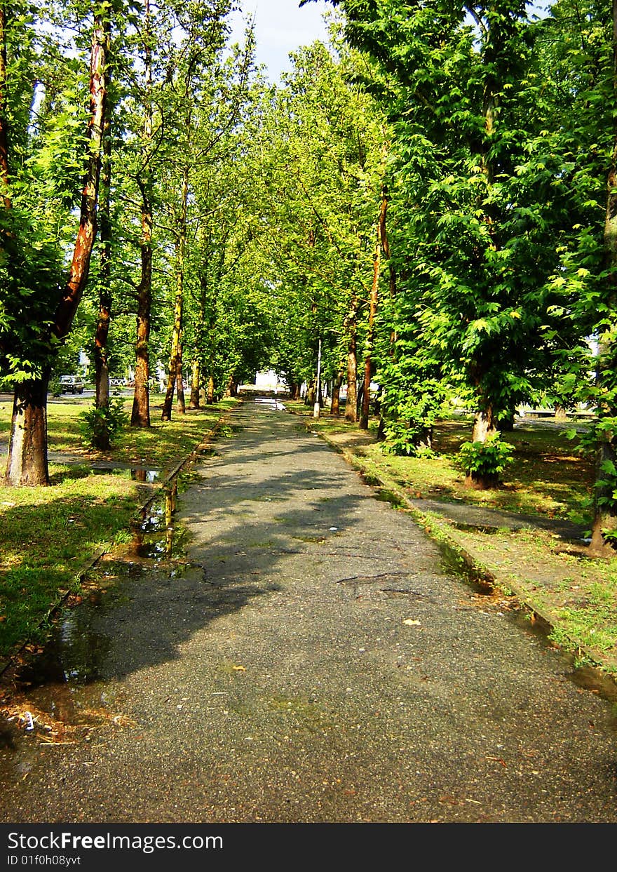 The park in green coloures